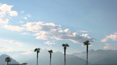 Palm trees and mountains, sky. Stock Footage