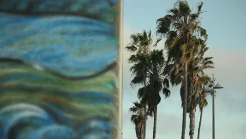 Palm Trees and a Mural Stock Footage 11360466