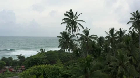 Palm trees and the ocean in cloudy weather Stock Footage 198399321