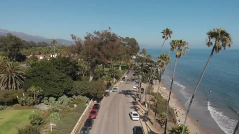 Palm Trees and Ocean drone Aerial view on a summer day in California. Stock Footage 241362534