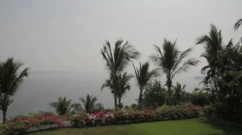 Palm trees and Ocean View Stock Footage 22258284