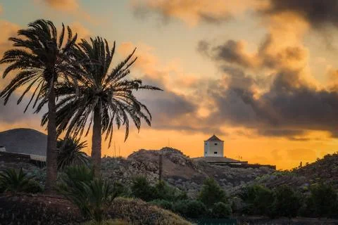 Palm trees and old windmill at sunset in canary islands landscape Foto stock