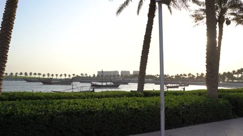 Palm trees and park view overlooking harbor boats Stock Footage 340502501