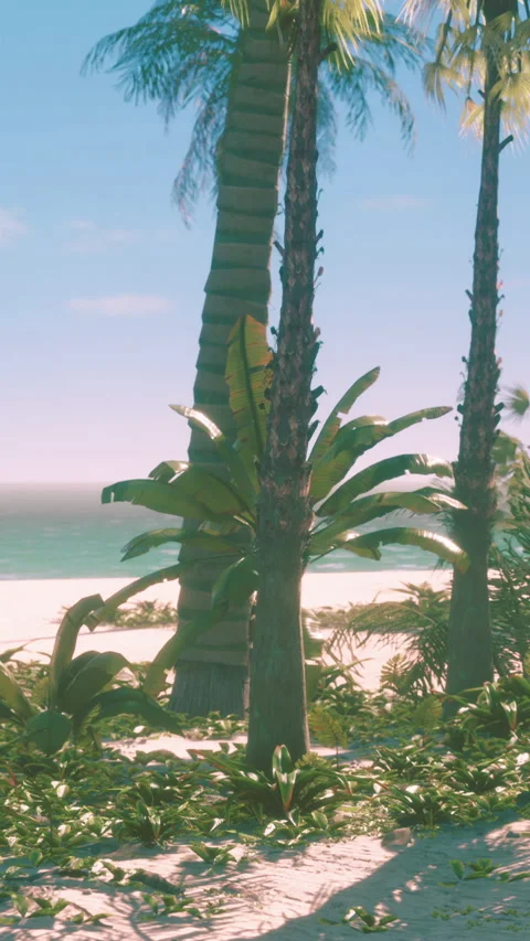Palm trees and plants on a sunny beach with the ocean in the background Stock Footage 338415802