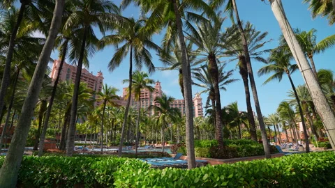 Palm Trees and Pool Area at Atlantis Paradise Island Resort, Paradise Island Video stock 329026942
