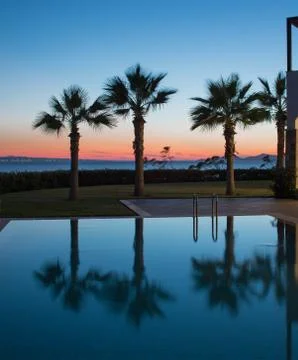 Palm trees and the pool during sunset Stock Photos