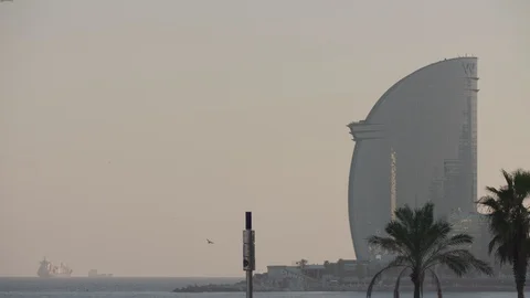Palm trees and the popular W hotel in Barcelona. Stock Footage 115699897