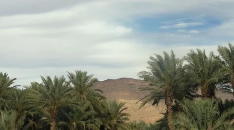 Palm trees and a road at Morocco Video stock 67558407
