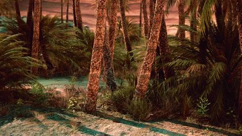 Palm trees and the sand dunes in Oasis Stock Illustration