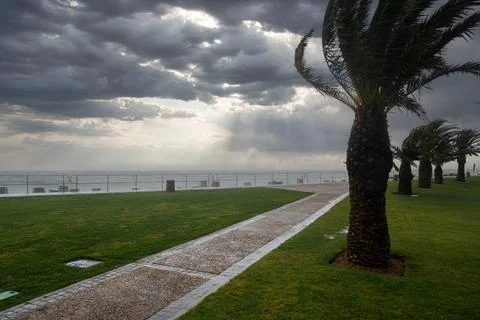 Palm trees and storm clouds along Sea Point Promenade in Cape Town Stock Photos