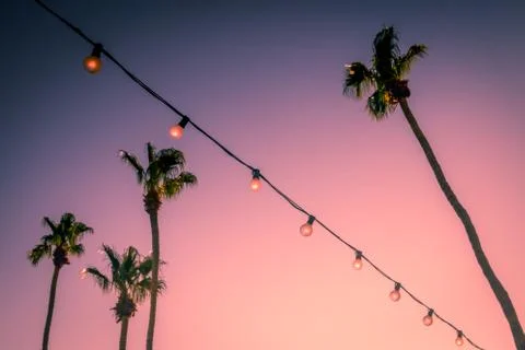 Palm Trees and String Party Lights at Sunset Palm Springs Coachella Valley Stock Photos