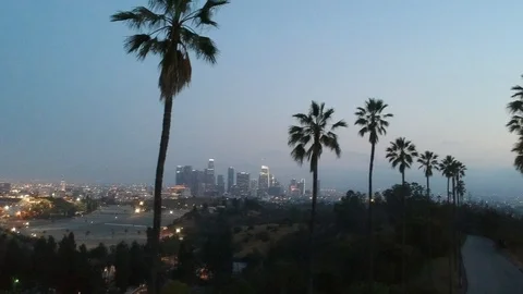 Palm Trees and Stunning View of Los Angeles Downtown After Sunset Stock Footage 108013538