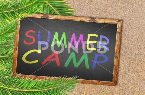 Palm trees and summer camp written on blackboard Stock Photos