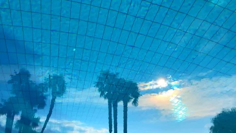 Palm Trees and Sun Reflected in a Swimming Pool Vídeos de archivo 111324085