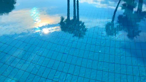Palm Trees and Sun Reflected in a Swimming Pool Stockbeeldmateriaal 111697984