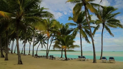 Palm trees and sunbed, chaise-longue on the beach of exotic Carribean Islands. Stock Footage 201603233