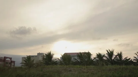 Palm trees and sunset at a Coast City Stock Footage 50143720
