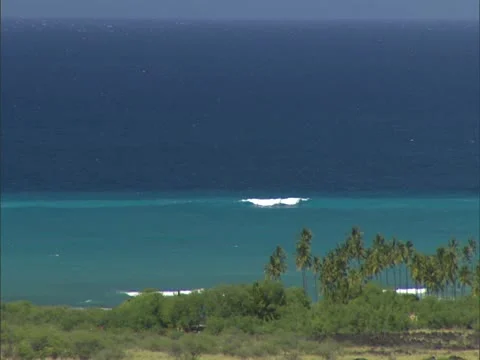 Palm Trees and Surf, Kiholo Bay Stock Footage 22244635