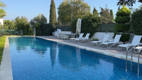 Palm Trees And Swimming Pool Stock Footage 219343125