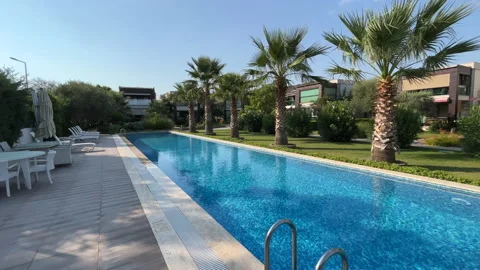 Palm Trees And Swimming Pool Stock Footage 219888012