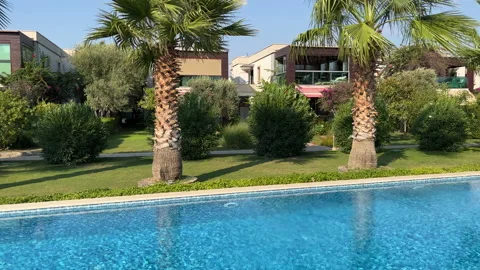 Palm Trees And Swimming Pool Stock Footage 219956547