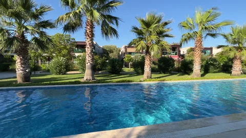 Palm Trees And Swimming Pool Stock Footage 248629742