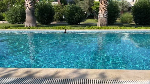 Palm Trees And Swimming Pool Bodrum Turkey Stock Footage 249215902