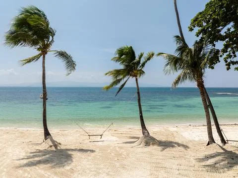 Palm trees and a swing overlooking turquoise waters. Thailand, Koh Phangan. Stock Photos