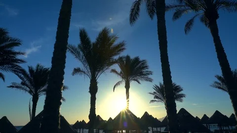 Palm trees and thatched roofed huts Video stock 100579853