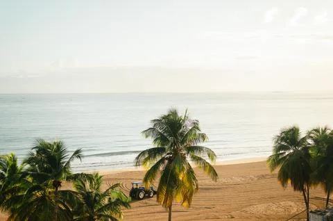 Palm trees and tractor on Isla Verde Beach in Puerto Rico at sunrise Stock-Fotos