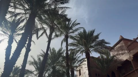Palm trees and traditional riad architecture courtyard Morocco Stock Footage 334433647