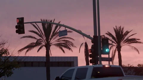 Palm Trees and Traffic Light at Sunset in Los Angeles Stock Footage 344615655