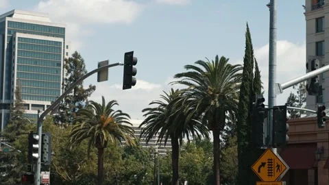Palm trees and urban intersection in downtown Sacramento Video stock 336640949
