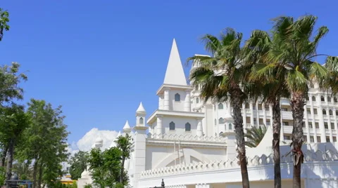 Palm trees and white building Stock Footage 49352013