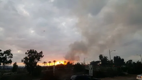 The palm trees are on fire Stock Footage 113338149