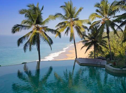Palm trees are reflected in the pool and the ocean in a background. India. Stock Photos