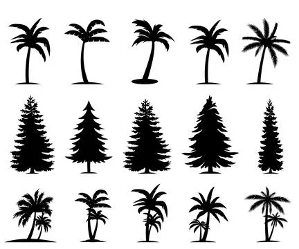 Palm trees are set isolated on a white background. Palm silhouettes Stock Illustration