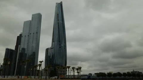 Palm trees around Crown Sydney in Barangaroo 6K Stock Footage 302610091