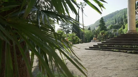 Palm trees around an old building with stairs and golden lions Stock Footage 196327963