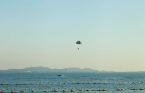 Palm trees ashore Stock Photos