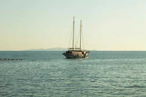 Palm trees ashore Stock Photos