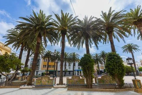 Palm Trees in Ayamonte Town Square, Andalusia, Spain Stock Photos
