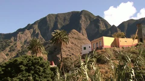 Palm trees on background of mountains Video stock 12050533