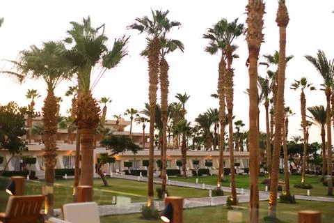 Palm trees on the background of the recreation complex Stock Photos