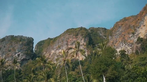 Palm trees on the background of rocks Stock Footage 106343352