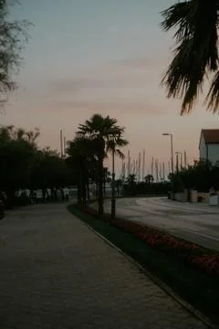 Palm trees on the background of the sunset. Evening city, summer atmosphere Stock Photos