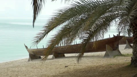 Palm trees on the beach in Abu Dhabi. Down town marina. Old arabic boat. Stock-Footage 150665521