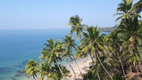 Palm trees on the beach, beautiful blue water with coconut trees beach in goa. Stock Footage 166158522