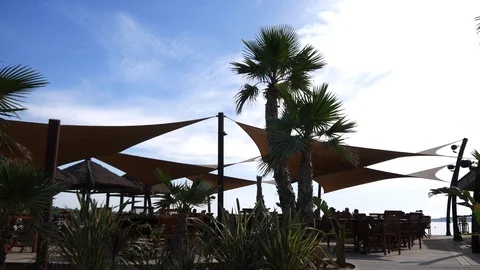 Palm trees on the beach Stock Footage 80022570