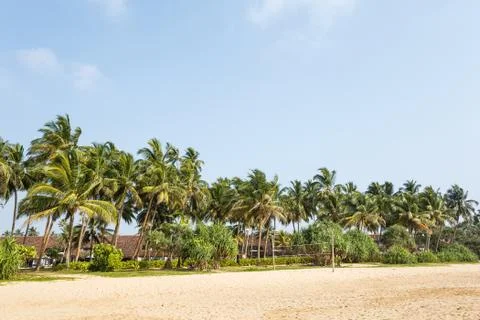 Palm trees, beach. Stock Photos